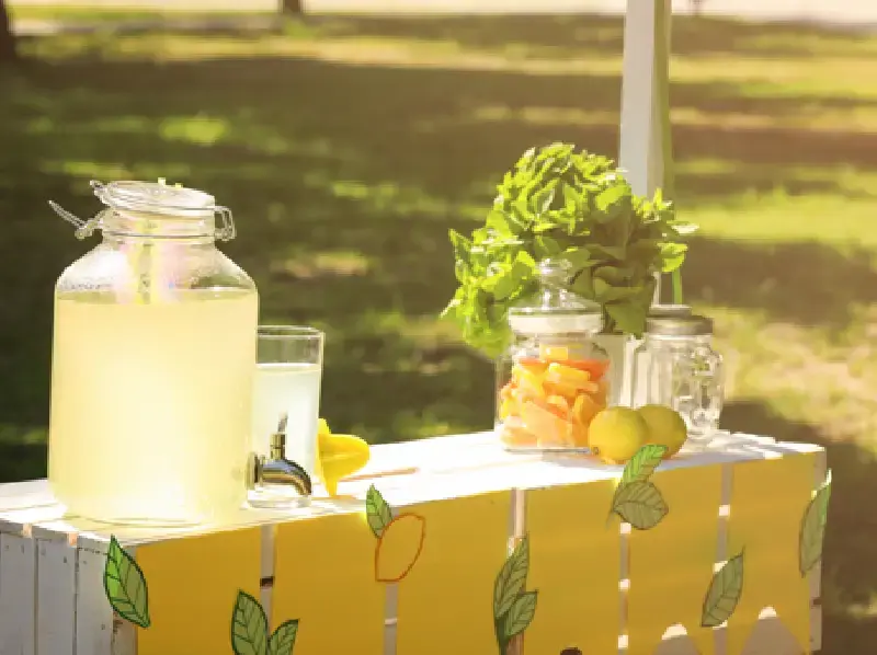 Refreshing Beverages for Every Palate at LollicupStore